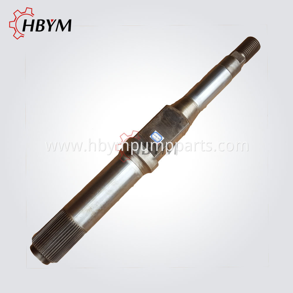 Schwing Slewing Shaft 002